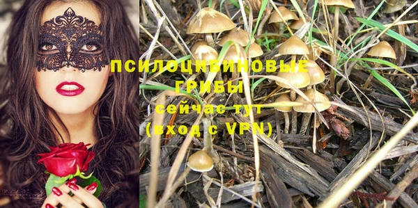 первитин Балахна
