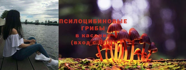 первитин Балахна