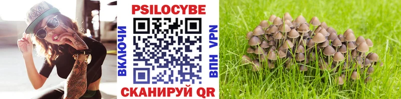 Галлюциногенные грибы мицелий  mega ТОР  Среднеуральск  darknet наркотические препараты  закладка 